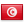 Tunisia flag